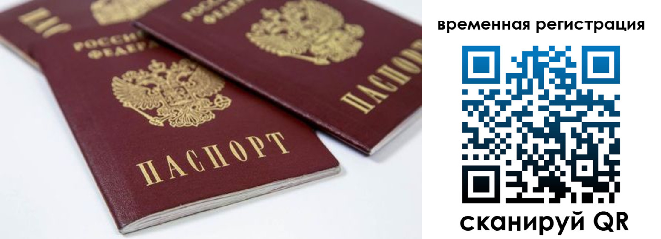 прописка для школы в Воскресенске